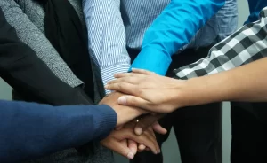 Usuarios Internos de la contabilidad